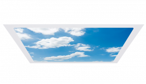 MOD Caelus Cloud