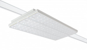 Porticus White
