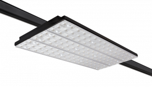 Porticus Black