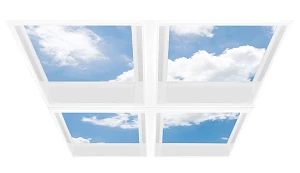 Mod Caelus Skylight Array
