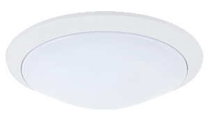 Amenity Decorative
