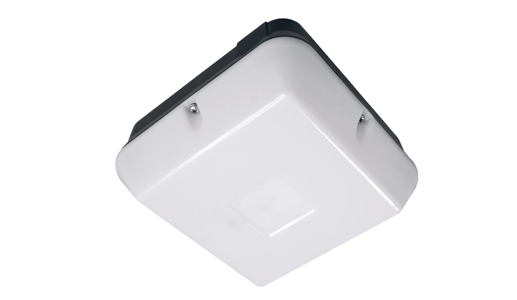 AMENITY PLUS - SQUARE FEATURED
